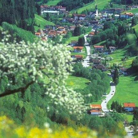 Holaus Appartement Wildschoenau